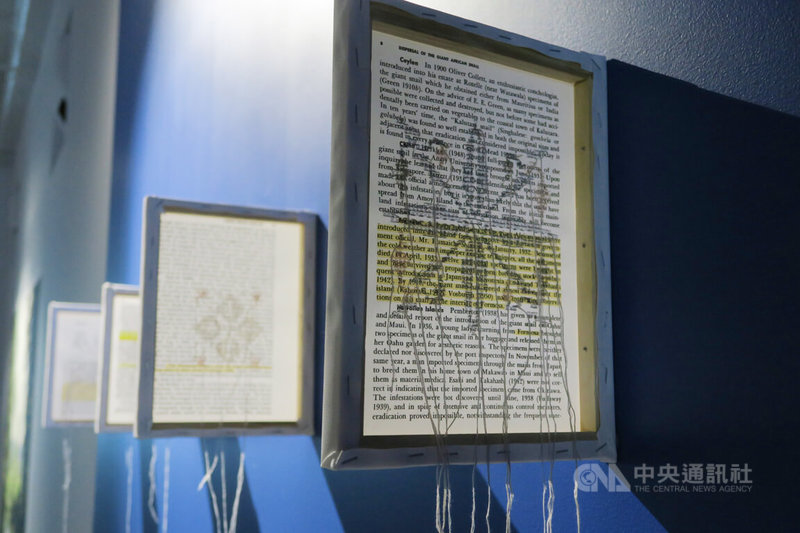 紐約布魯克林舉辦「齊唱Part 8:潮浪之間」聯展,台灣藝術家張恩滿刺繡作品背面文獻記載非洲大蝸牛如何在世界傳播。中央社記者尹俊傑紐約攝 112年10月13日