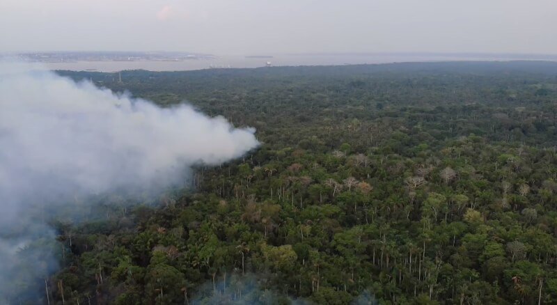 巴西環境部13日指出，今年北部亞馬遜州乾旱嚴重，截至12日已記錄1664處起火點。（圖取自facebook.com/marinasilva.oficial）
