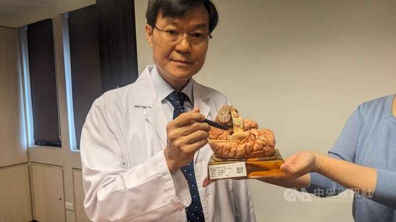 書田診所腦神經內科主任醫師黃啟訓17日說,大腦的海馬迴主要負責處理短期記憶,功能異常時,記憶系統可能發生錯誤訊息匹配,因而對初次經歷的事件產生似曾相識,或稱既視感的幻覺記憶。中央社記者曾以寧攝 112年10月17日