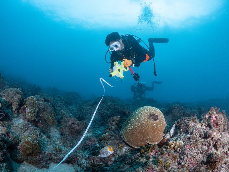 綠色和平2023年8月實地走訪小琉球，並以穿越線法於水下10公尺執行定量觀察與底質監測，圖為調查員執行任務。（綠色和平提供）中央社記者張雄風傳真 112年10月18日