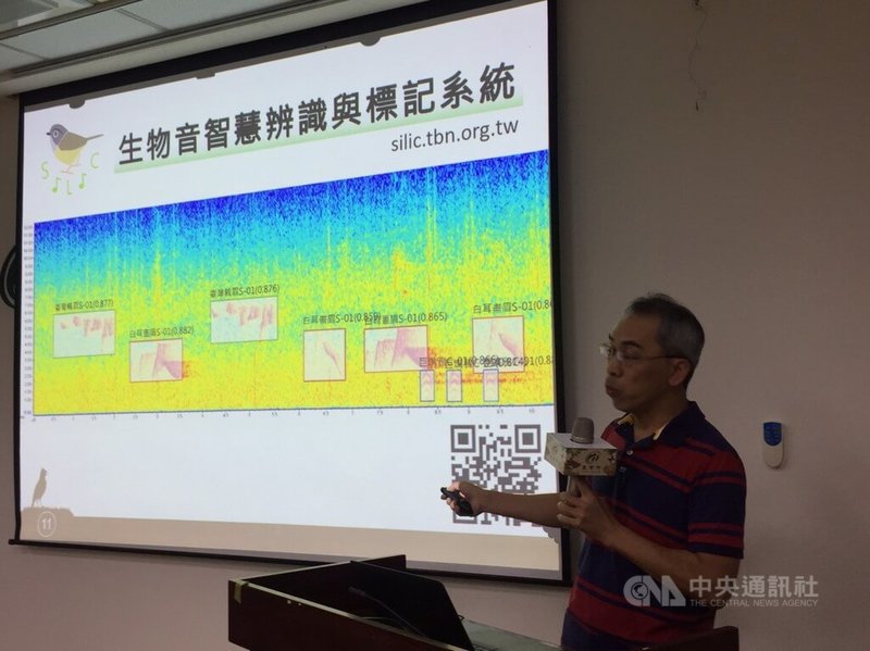農業部生物多樣性研究所副研究員吳世鴻（圖）開發出SILIC系統，可辨識184種台灣野生動物的聲音，而且判讀速度為60倍速，1小時錄音1分鐘完成判讀，可取代大量人力。中央社記者楊淑閔攝  112年10月18日