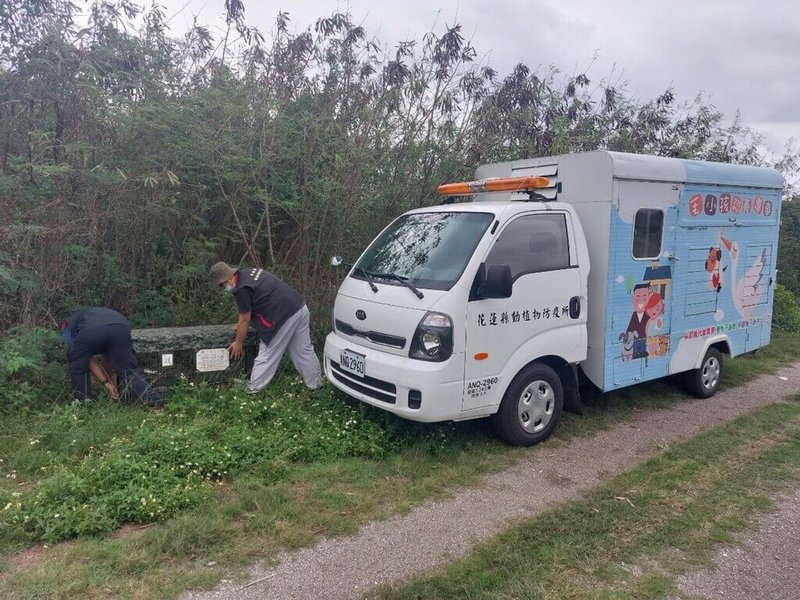 花蓮縣政府22日表示，過去縣內流浪犬捕捉業務是由各鄉鎮市公所就近服務，由清潔隊捕捉後送交公立動物收容所結紮，有效降低流浪犬在外繁殖機會，後續全縣流浪犬精準捕捉等減量措施作為將自11月1日起，改由花蓮縣動植物防疫所執行。（花蓮縣政府提供）中央社記者李先鳳傳真  112年10月22日