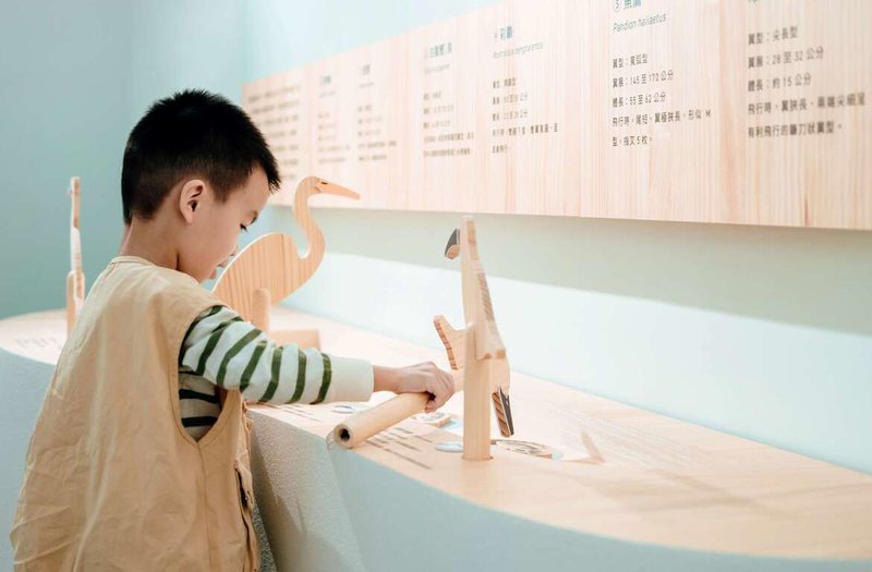 嘉義鰲鼓濕地森林園區內東石自然生態展示館常設展「看見自然的律動」,呈現保存漁村文化與生態共存理念,近日獲得日本優良設計獎(Good Design Award)、美國繆思創意獎(MUSE Creative Awards)肯定。圖為展出內容「候鳥的旅行–嘴喙覓食趣」,參觀者可以動手親自體驗。(林業及自然保育署嘉義分署提供)中央社記者蔡智明傳真 112年10月27日