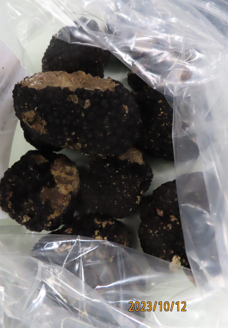 義大利出口「黑松露」重金屬含量不符規定。(圖取自食藥署網頁fda.gov.tw)