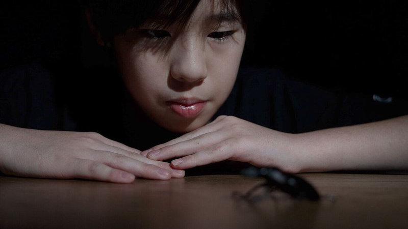 兒少紀實節目「小孩酷斯拉2」繼續用孩子觀點說故事,其中單元「我在昆蟲小宇宙裡盡情過動」的主角支以淮是個超級昆蟲迷,對台灣昆蟲品種瞭若指掌。(公視提供)中央社記者葉冠吟傳真 112年11月1日