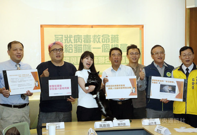 民進黨立委高嘉瑜（左3）2日表示，貓傳染性腹膜炎在台灣一直沒有合宜且有療效的藥品可供使用，呼籲政府有條件允許獸醫進口國外有效藥物。中央社記者郭日曉攝　112年11月2日