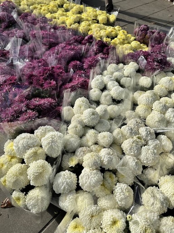 波蘭墓園外會有各種不同顏色的菊花，提供人們採購。中央社 112年11月2日