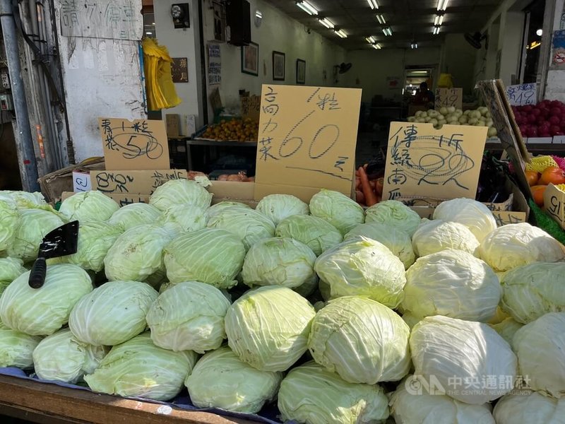 台北果菜批發市場4日整體蔬菜交易均價每公斤新台幣38.4元，傳統市場可見高麗菜每顆60元，也有約50元的零售價，已是銅板價水平。中央社記者楊淑閔攝  112年11月4日
