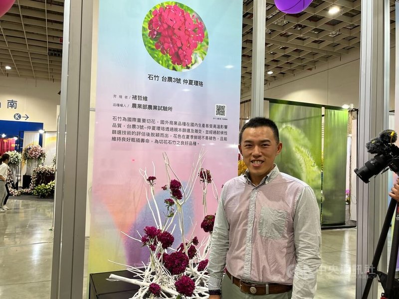 農糧署10日起在南港展覽館舉辦第3屆台灣花卉品種推介會,農試所約僱人員褚哲維表示,育成的新品種石竹「台農3號 仲夏瓔珞」可全年生產,且夏天不會像老品種有褪色情況,預計年底技轉出去,可在母親節時推廣使用、銷售。中央社記者楊淑閔攝 112年11月10日