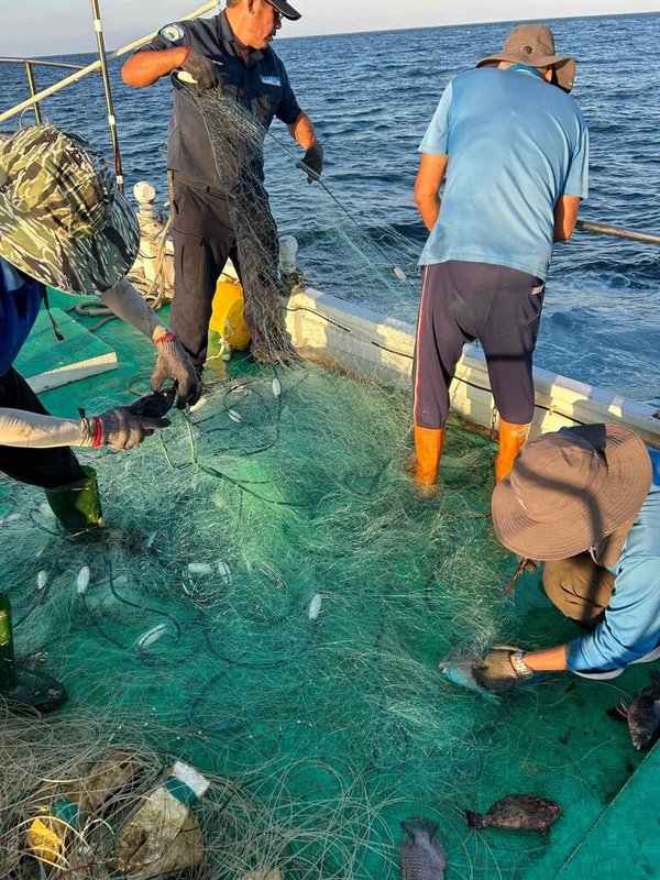 海洋國家公園管理處日前發現，有漁民在澎湖南方四島國家公園的西吉嶼海域放置三層刺網從事非法捕撈，依法沒入網具。（海洋國家公園管理處提供）中央社  112年11月10日