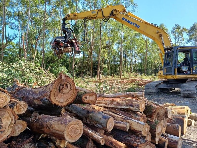 重建東部林業產業鏈，林業保育署花蓮分署舉辦高性能林業機械介紹及操作訓練課程，因國內勞力成本高，省功機械是購置時應考慮因素；此外，配合林木全材利用政策，去化木材的破碎機械效能，為未來建置重點。（林業及自然保育署花蓮分署提供）中央社記者李先鳳傳真  112年11月12日