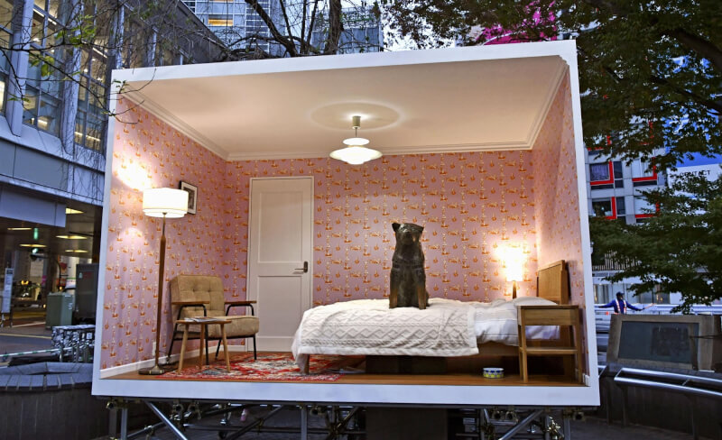 「忠犬八公」本月迎百歲冥誕，藝術家打造一日限定臥房，讓八公銅像能稍事休息。（共同社）