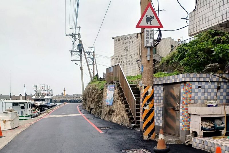 新北市農業局15日表示,動保處請交通局在瑞芳區鼻頭漁港設置「常有貓出沒,請減速慢行」交通告示牌,以防止發生路殺意外。(新北市農業局提供)中央社記者黃旭昇新北傳真 112年11月15日