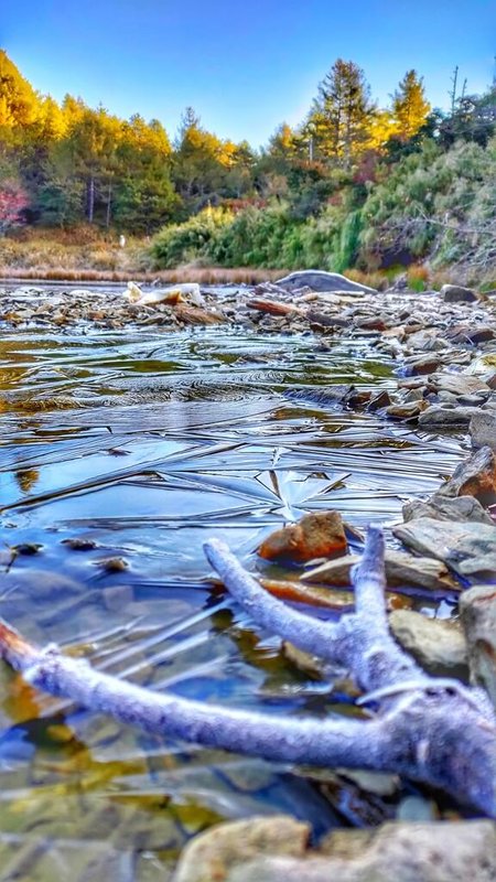 低溫來襲，18日清晨大雪山國家森林遊樂區天池水面結冰，結冰的水面如透明冰晶，相當美麗。（大雪山國家森林遊樂區提供）中央社記者趙麗妍傳真  112年11月18日