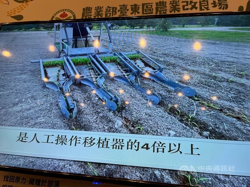為解決部落人力不足問題,農業部台東區農業改良場協助開發蜂巢式紙穴盤苗,搭配機械化作業,可自動播種小米,幫助部落重新栽種小米、擴大生產。中央社記者楊淑閔攝 112年11月20日