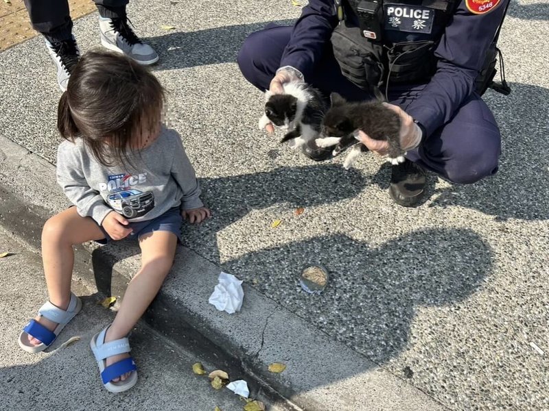 台中市黃姓男子26日發現車內引擎室有2隻幼貓,因擔心意外向警方報案,警方用各種方式將貓吸引出後「逮捕」,1名女童經過還為警方加油,當2隻小貓被救出時,女童也湊上前想要親近幼貓。(警方提供)中央社記者蘇木春傳真 112年11月28日