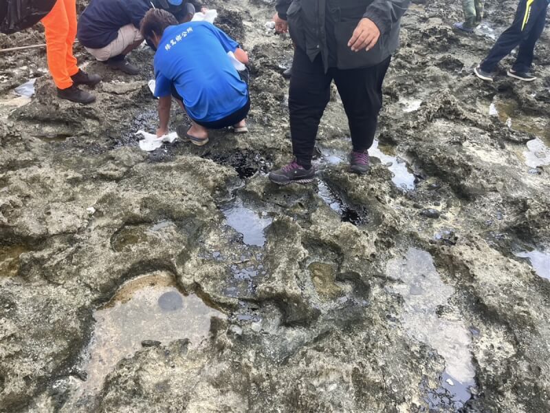 台東縣綠島鄉柚子湖近日被發現礁岩布滿黑油,污染範圍約50公尺,鄉公所懷疑是遭船隻排放廢油,3日持續增派人力清除,後續將追查油污來源。(綠島鄉公所提供)中央社記者張祈傳真 112年12月3日