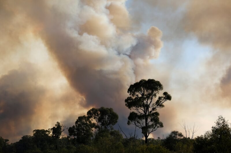 圖為澳洲新南威爾斯州納拉布里地區9日因野火冒出陣陣濃煙。（圖取自twitter.com/NSWRFS）