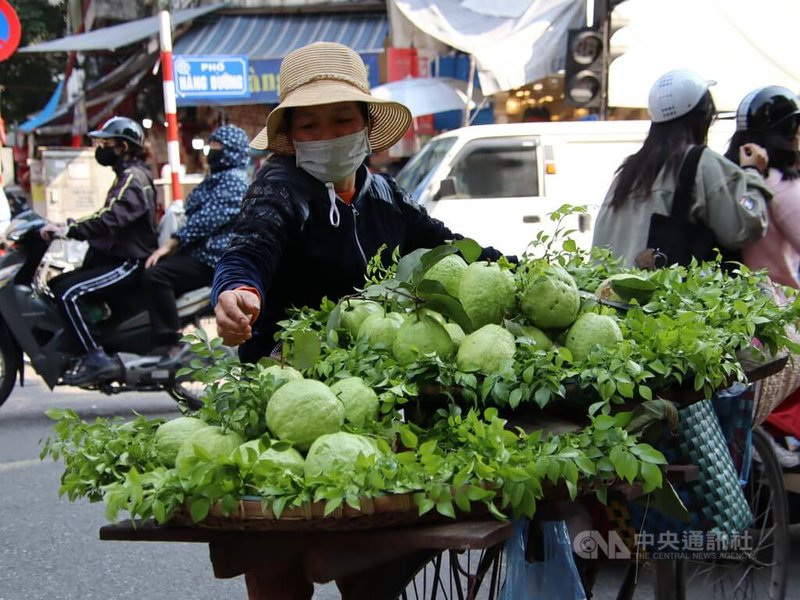 中國國家主席習近平12、13日到訪越南，穩定與擴大越南農產品出口至中國將是越方的重要期盼。圖為越南街頭賣水果的小販。中央社記者陳家倫河內攝  112年12月11日