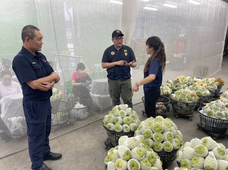 台東鳳梨釋迦重新輸銷中國，又因颱風影響產量少4成，價格飆漲至每台斤新台幣85元，台東縣警察局台東分局啟動「護果專案」，對轄區果園周邊提高巡邏密度，並與地方巡守隊合作，加強防竊。（台東縣警察局提供）中央社記者盧太城台東傳真  112年12月13日