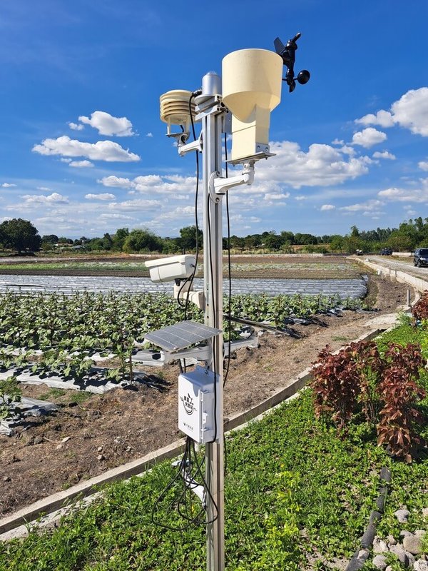 國合會在菲律賓丹轆省建立台灣示範農場，協助在地農戶收入增加到5倍之多。（駐菲代表處提供）中央社記者陳妍君丹轆省傳真 112年12月18日