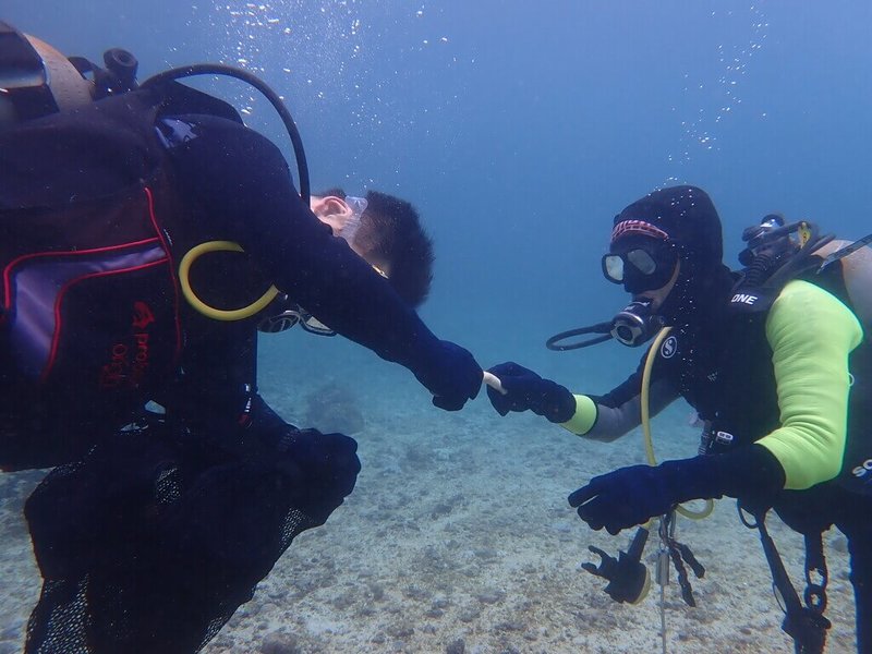 綠島鄉柚子湖海岸2日發現不明來源重油污染,綠島監獄典獄長邱量一獲知後,主動聯繫鄉公所,支援收容人協助清理,並首度集結機關內具有潛水證照的職員,著潛水裝備深入中寮港區內清除海底垃圾。(綠島監獄提供)中央社記者李先鳳傳真 112年12月19日