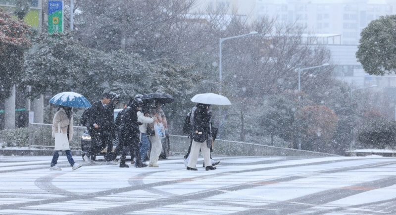 圖為濟州老衡洞21日下起大雪。（韓聯社）