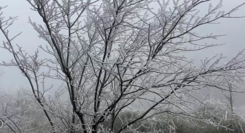 寒流來襲,氣溫驟降,鄰近台中市武陵農場的思源埡口22日出現白茫茫的霧淞景象。(武陵農場提供)中央社記者郝雪卿傳真 112年12月22日