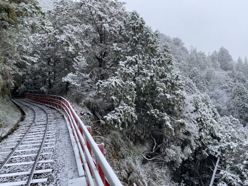 太平山國家森林遊樂區蹦蹦車道披上銀霜。（圖取自農業部林業及自然保育署宜蘭分署網頁yilan.forest.gov.tw）