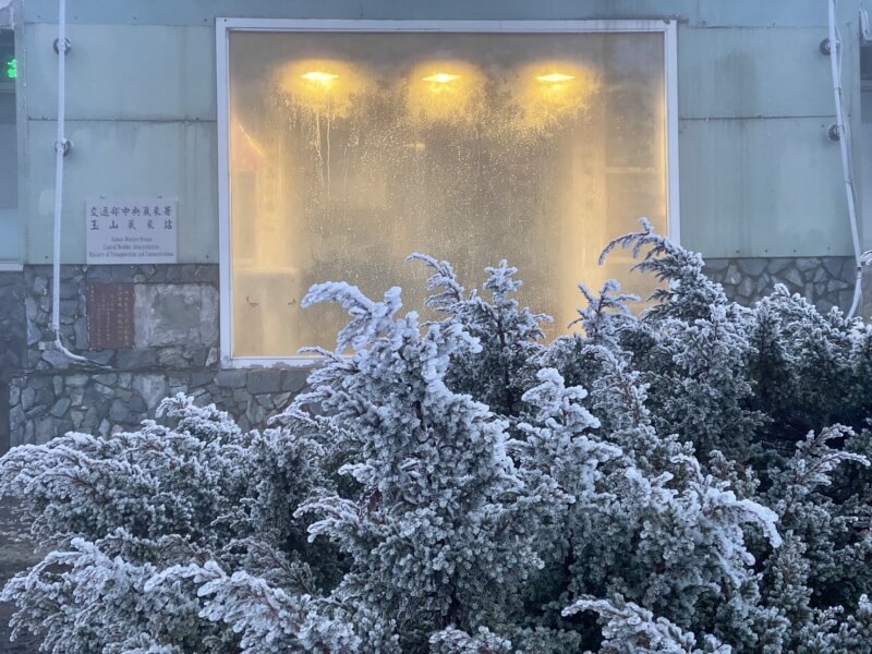 玉山氣象站的樹木上都結了霧淞,白靄靄的景色相當夢幻。(氣象署提供)