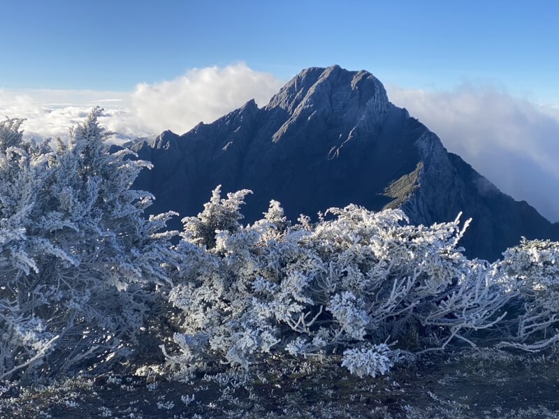 玉山22日清晨雖然沒有下雪,但出現霧淞美景。(氣象署提供)