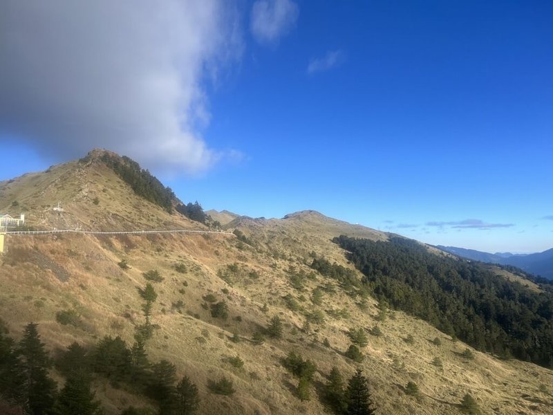 低溫與水氣配合，合歡山24日凌晨短暫飄雪，但道路未見明顯積雪或結冰，天亮後，山區天氣放晴。（農業部林業及自然保育署南投分署提供）中央社記者蕭博陽南投縣傳真  112年12月24日