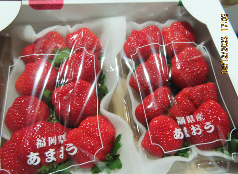 食藥署26日公布邊境查驗不合格名單，又有2批日本草莓不合格，將100%逐批查驗至民國113年4月30日。（食藥署提供）中央社記者沈佩瑤傳真 112年12月26日