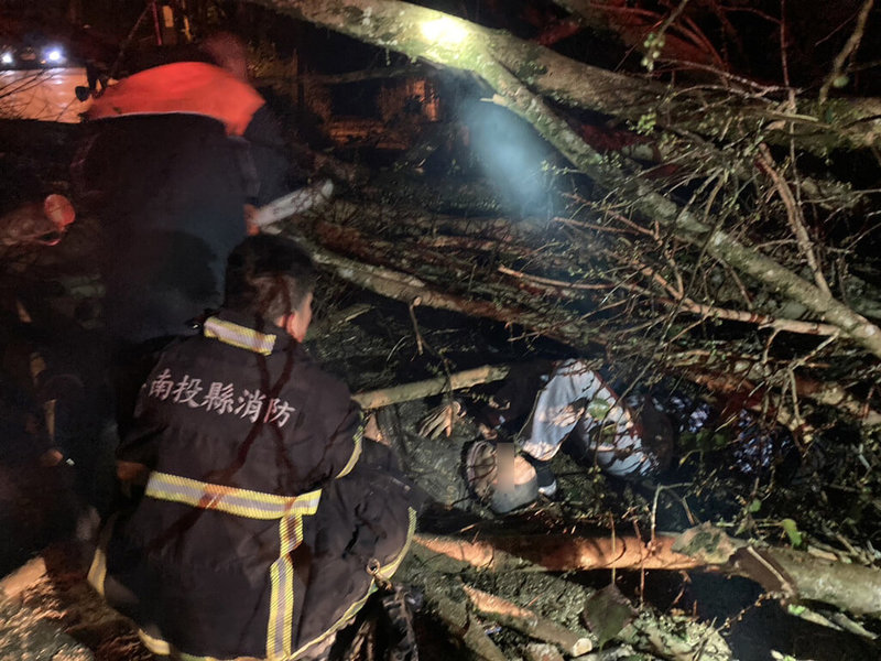 整建中的埔里鎮台灣地理中心碑園區一棵樹木29日清晨傾倒壓傷3人，南投縣消防局到場鋸斷樹幹，陸續將人救出送醫，所幸意識皆清楚、無生命危險。（南投縣消防局提供）中央社記者蕭博陽南投縣傳真  112年12月29日