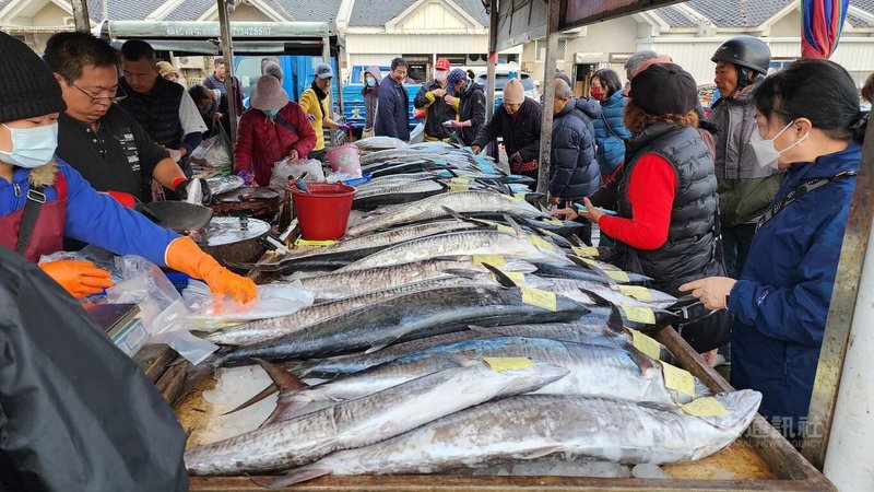 澎湖冬季正值土魠魚汛期，馬公魚市場7日土魠魚大爆棚，到處可見堆疊漁獲，銷售均價則約落在每公斤新台幣500元上下，吸引不少民眾選購。中央社  113年1月7日