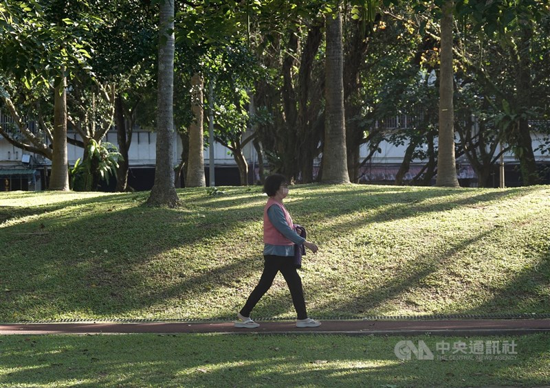 圖為民眾在台北市南港區公園散步，溫暖陽光從林間灑落。中央社記者鄭傑文攝 113年1月13日