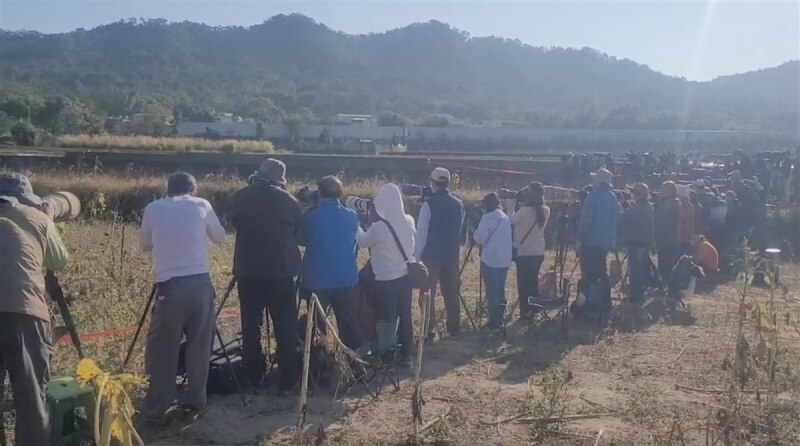 苗栗縣銅鑼鄉一處種植向日葵的農田,近期出現大批金翅雀駐足覓食,地主特別開放場地、拉起拍照線,在不干擾金翅雀活動下,讓鳥友近距離觀察、拍攝。(民眾提供)中央社記者管瑞平傳真 113年1月17日
