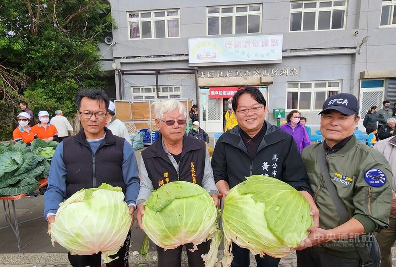 澎湖馬公烏崁社區21日舉辦「新高麗菜王比賽」，菜農葉興國（前左）以單顆最重18.8斤奪下新高麗菜王，他表示，自己種了800棵高麗菜，幾乎天天要抓蟲、灌水，還要定期施放有機肥料，很高興今年能再度獲獎。中央社 113年1月21日