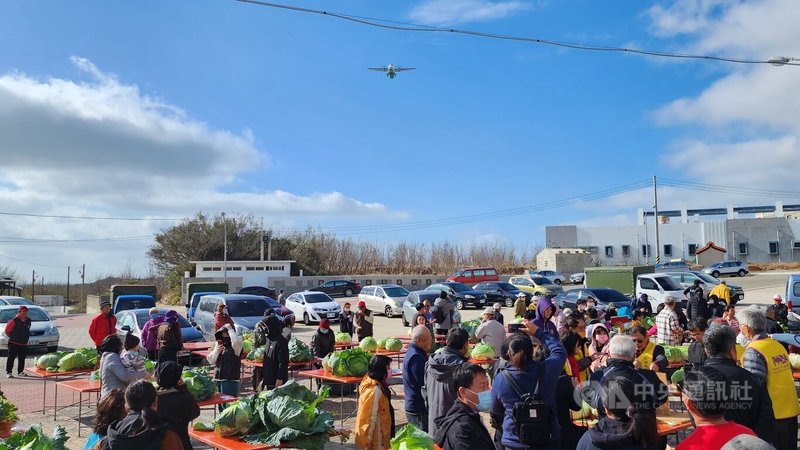 澎湖馬公烏崁社區21日舉辦「新高麗菜王比賽」，司儀特別以幽默口吻表示，烏崁高麗菜又大又好吃，是聽飛機起降聲長大的，現場也正好有飛機從上方飛越。中央社  113年1月21日