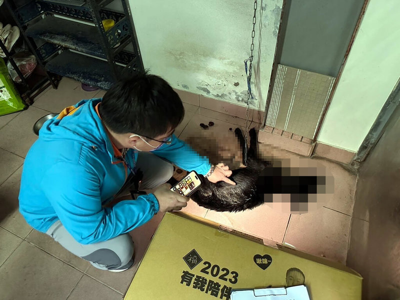 嘉義縣民雄鄉日前發生1隻家犬疑長期遭虐致死，縣府據報將犬隻送專業單位鑑定，確定死因為「未妥善照顧」，家畜所將飼主張姓女子依違反動保法送辦。（嘉義縣政府提供）中央社記者黃國芳傳真  113年1月22日