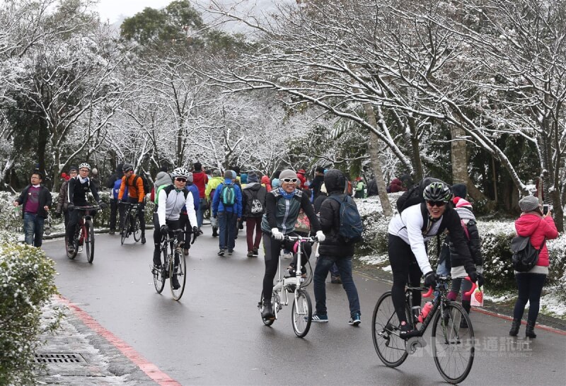2016年1月寒流影響台灣，台北市陽明山降雪，民眾不畏寒冷騎自行車賞雪。（中央社檔案照片）
