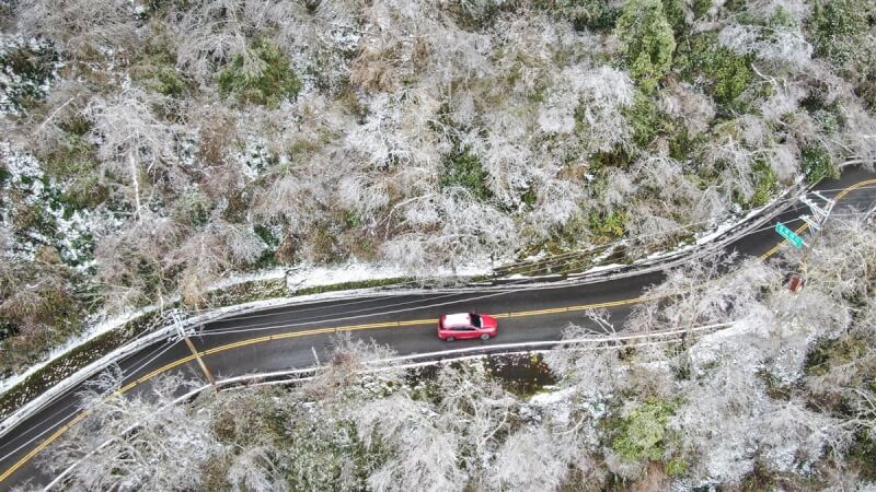 大同鄉思源埡口道路兩旁樹林布滿白雪,形成難得一見的銀色世界。中央社記者王騰毅攝 113年1月23日