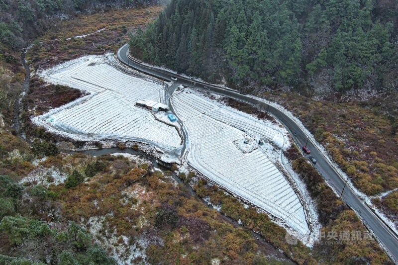 田地覆蓋一層白雪成銀白世界。中央社記者鄭清元攝 113年1月23日