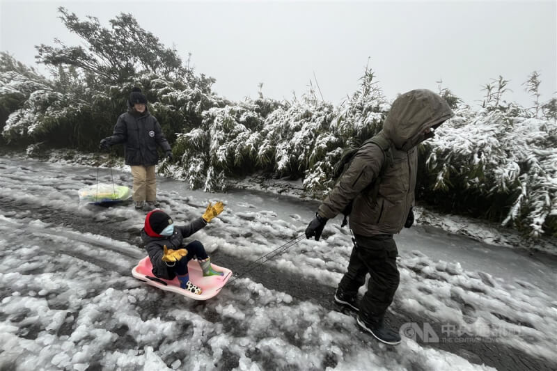 寒流發威，陽明山23日清晨出現雨夾雪、大屯山已有降雪情形，有民眾一早就帶著小朋友前往大屯山玩雪橇。中央社記者徐肇昌攝 113年1月23日