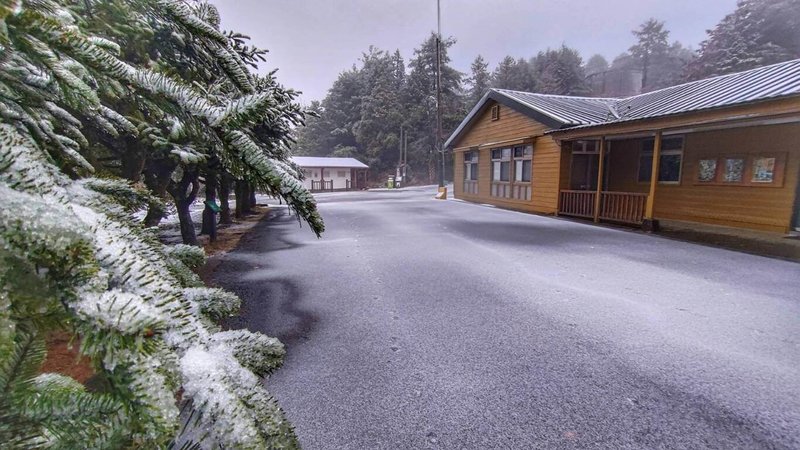 入冬寒流來襲,大雪山森林遊樂區49公里的小雪山旅遊資訊站23日清晨降雪,屋頂、樹梢、路面覆上一層白雪,如撒上糖霜,銀白世界相當美麗。(林業及自然保育署台中分署提供)中央社記者趙麗妍傳真 113年1月23日
