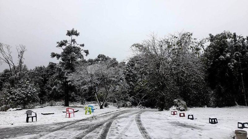 新北市烏來區的967高地23日清晨下雪，地面被白雪覆蓋，變成美麗銀白世界。（民眾提供）中央社記者高華謙傳真  113年1月23日