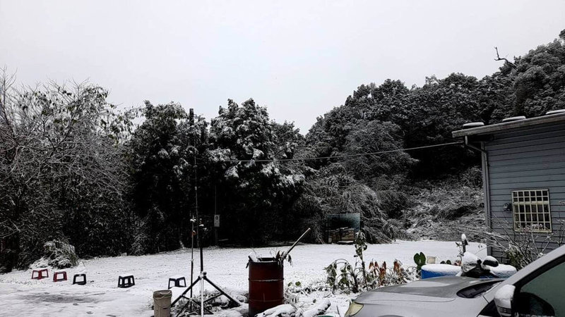 寒流發威，位於新北市烏來區的967高地23日清晨下雪，地面被白雪覆蓋，一片銀白世界，相當美麗。（民眾提供）中央社記者高華謙傳真  113年1月23日