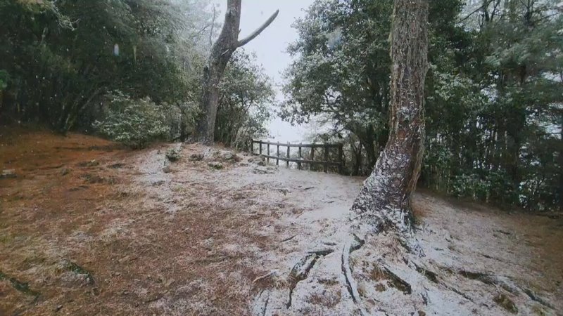 雪霸國家公園管理處指出，園區內海拔約2400公尺以上的七卡山莊、桃山步道23日清晨降雪，提醒山友備妥雪地登山「三寶」，才能確保安全。（雪霸國家公園管理處提供）中央社記者管瑞平傳真  113年1月23日