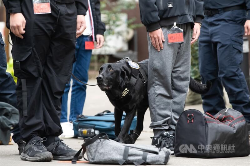 在台中成功嶺的役男接受憲兵緝毒犬檢查有無攜帶違禁品。中央社記者游凱翔攝 113年1月25日