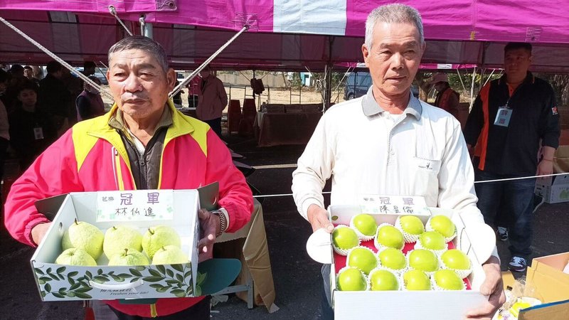 高雄市燕巢區農會舉辦番石榴、蜜棗品質評鑑競賽，28日舉辦頒獎典禮，農民林仙進（左）、陳昱儒（右）分別奪下芭樂組、蜜棗組冠軍，成為本年度燕巢芭棗王。（燕巢區農會提供）中央社記者林巧璉傳真  113年1月28日